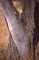 WT 1400 209-19 Kenya